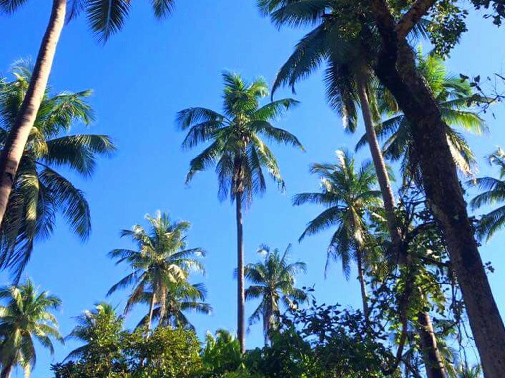 Jurisu Resort San Vicente  Luaran gambar